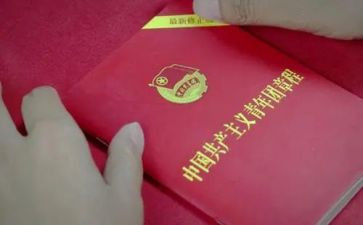 学团章守团章用团章心得体会6篇