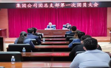 团总支组织部的工作计划5篇