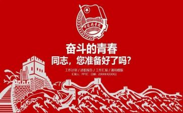 团组织生活动总结6篇