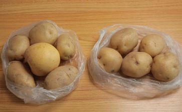 介绍土豆的作文8篇
