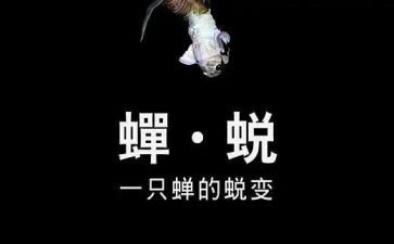 蜕变作文600字5篇