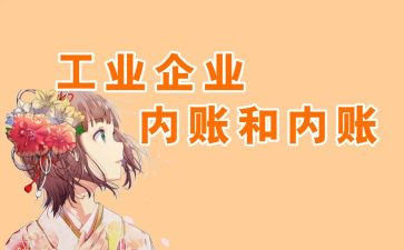 外账会计工作总结个人总结8篇