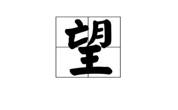 工作总结展望2023千言7篇