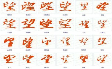 读《天堂的张望》观后感参考5篇