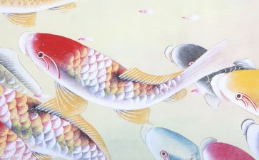 文化员半年度工作总结6篇