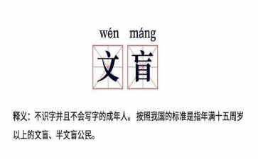 小文盲作文推荐7篇