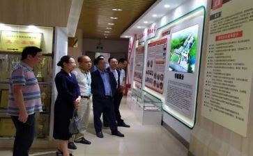 2024年暑期语文培训心得体会优质8篇