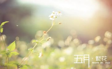 幼儿小班五月工作总结8篇