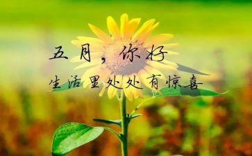 幼儿园中班五月工作总结5篇