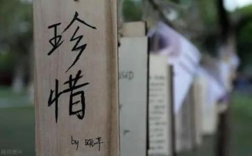 爱要珍惜的演讲稿精选5篇
