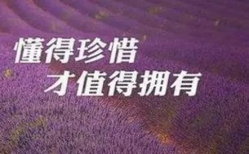 珍惜现在拥有的作文8篇