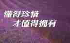 爱惜书班会教案5篇
