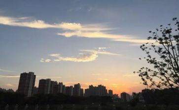 2024九年级下班主任工作总结8篇