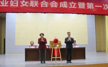 2023乡镇妇联工作总结7篇