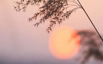 祥子的读后感600字优秀8篇