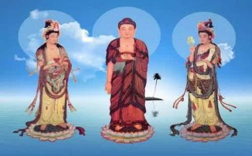《仙人掌》美术教案5篇