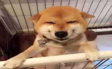 他笑了我作文400字7篇