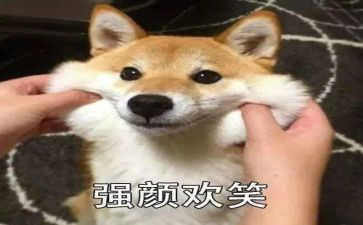笑猫日记读后感500字6篇