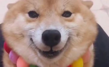 微笑面对生活演讲稿8篇