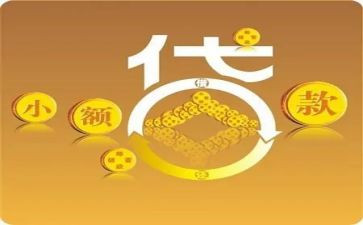 2024年小贷公司工作总结7篇