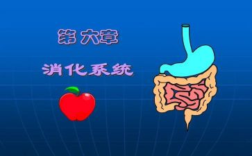 2024年消化内科工作计划6篇