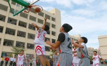 3.8学校活动方案模板8篇