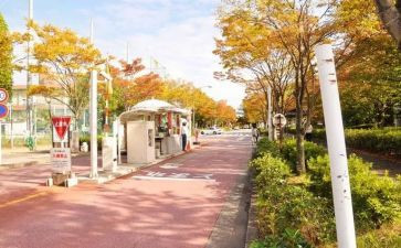 学校内宿申请书精选8篇