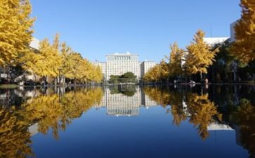 学校内宿申请书5篇