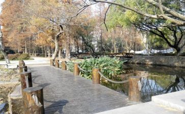 校内活动方案8篇