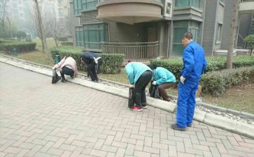 物业小区保洁年工作计划8篇