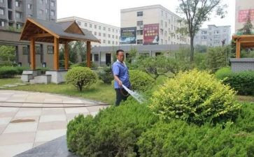 2024年小区物业工作计划5篇