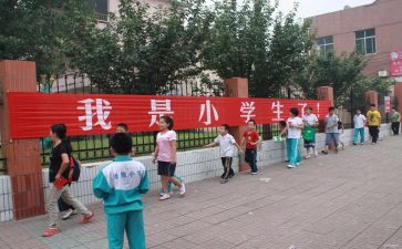 小学培训心得体会精选6篇