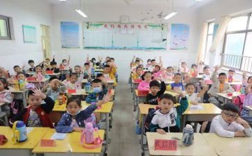 小学特岗教师个人总结6篇