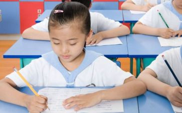 小学作业调查报告8篇