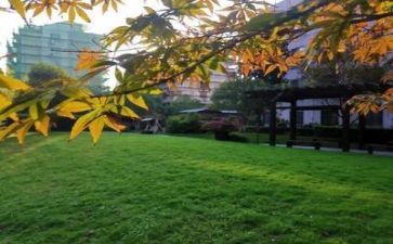 安全生产进校园活动总结8篇