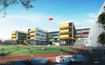 体育进校园活动总结7篇