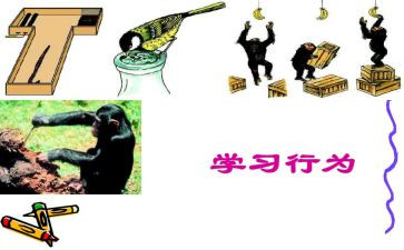 中小学教师违反道德行为心得体会通用5篇