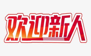 销售工作总结新人8篇