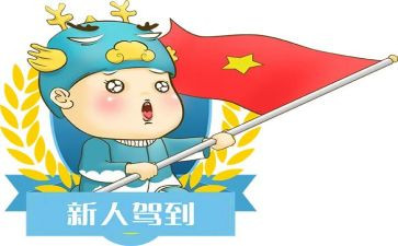 新人工作总结和计划8篇