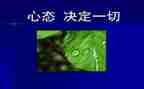 心态最乐观的演讲稿5篇