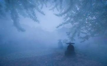 教师修炼心得体会5篇
