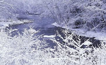 小雪节气主题班会教案7篇