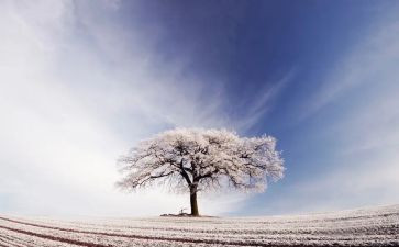 除雪讲话稿最新6篇