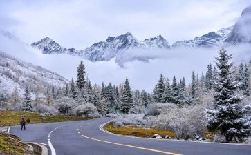 节气小雪的活动方案7篇