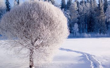 我爱故乡的雪的作文优质7篇