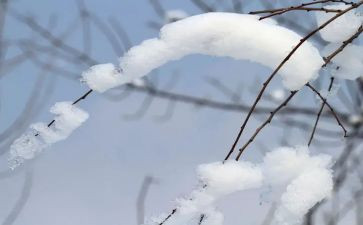 有关于雪的演讲稿模板6篇