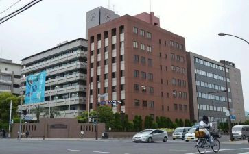 在大学部门的工作总结7篇