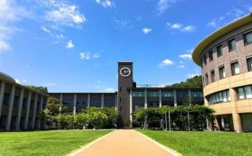 在大学部门的工作总结优质5篇