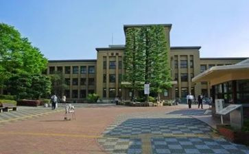 小学部主任述职报告7篇