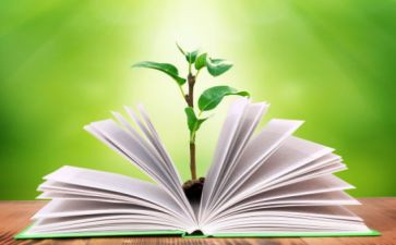 小学数学二年级教学工作计划8篇